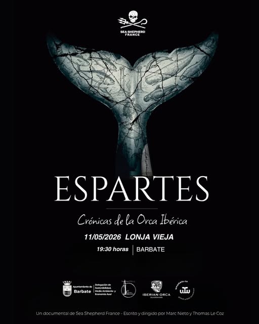 Proyeccion Espartes. Antigua Lonja. 11 mayo